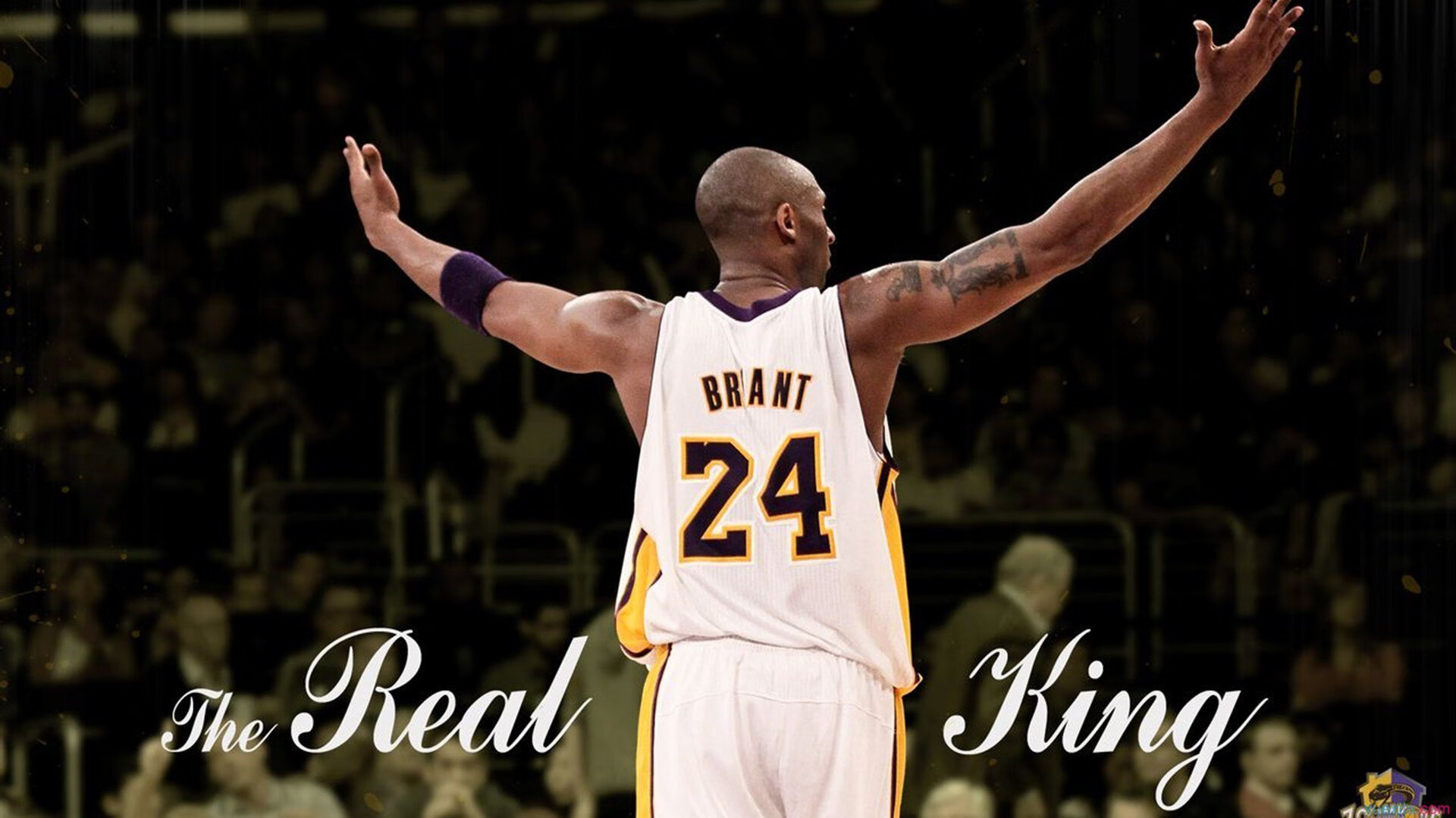 开云体育网址-“2025世界运动会：运动舞蹈赛事，让舞者用脚步传递力量与美丽”