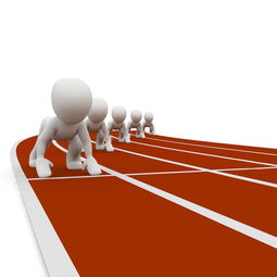 kaiyun网址-全运会筹备工作进入冲刺阶段，全运会备战方案